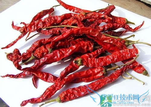 �и��ܳԸ�������