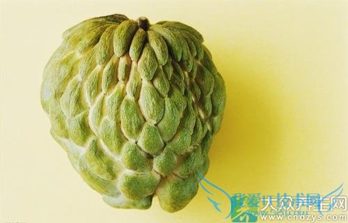 �����ܳ������� 