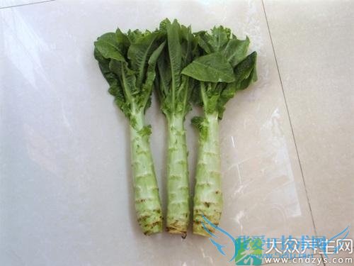 �����ܳ�ݫ����