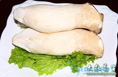 ��Ѫѹ�ܳ��漧����