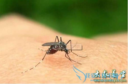 ���״�Ⱦ��