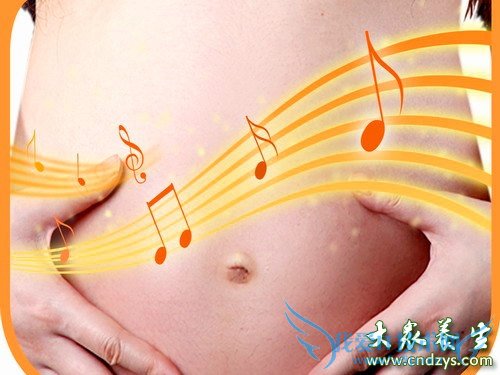 ׼�������ΰ���̥�����˶�(5)