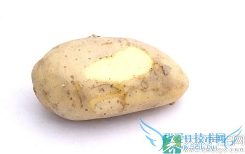 �����ܳ���������