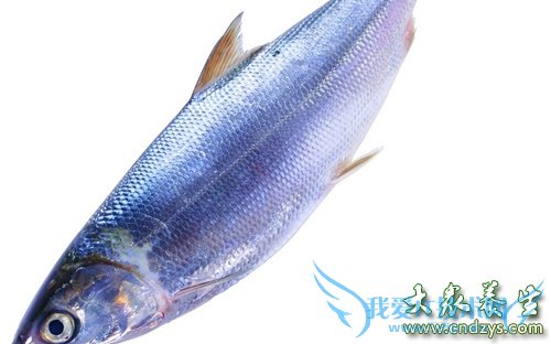 �����ܳ�ɳ������