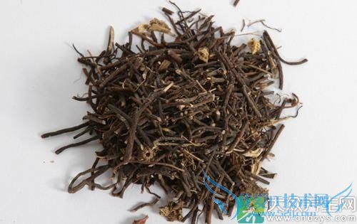 �����ܳ���������