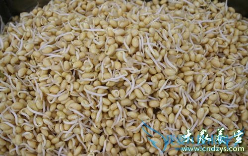 ��Ѫѹ�ܳԻƶ�ѿ��  