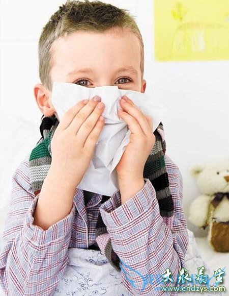 �����ļ���ð ��ҽ����֧��(5)