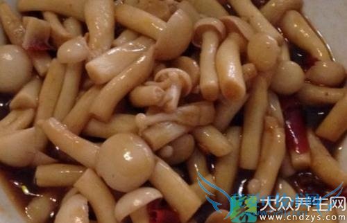 �����ܳ�з�ȹ��� 