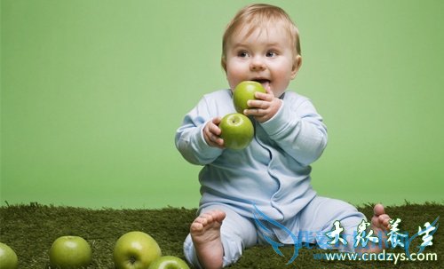 һ�걦��Ӫ��ʳ��  