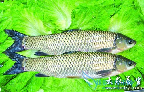 �������µ�10�ֶ���(6)