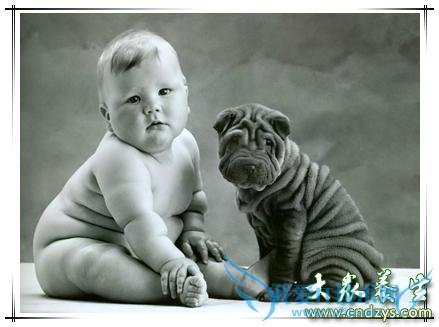 С�����ػ���ķ�������Щ��(1)