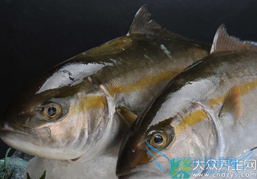 Ƥ�������ܳ�������