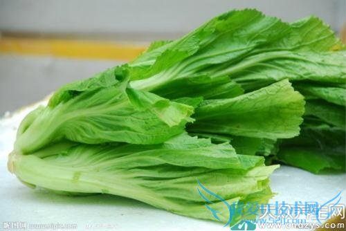 ��Ѫѹ�ܳ���魲���