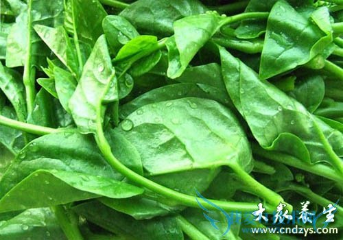 9�󳣼��߲˶�̥������(7)