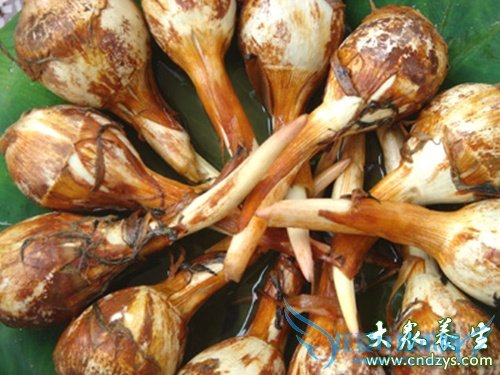 9�󳣼��߲˶�̥������(9)