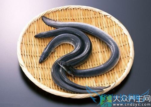 �����ܳԻ�����