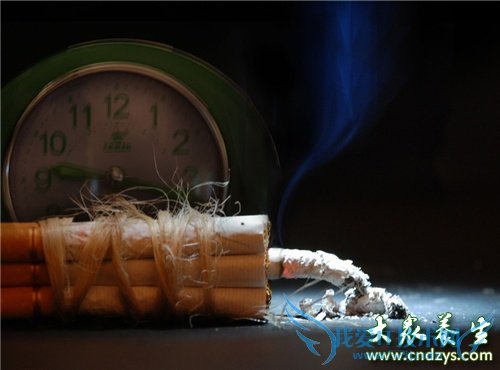 8���������ԡ�������ʢ��(5)