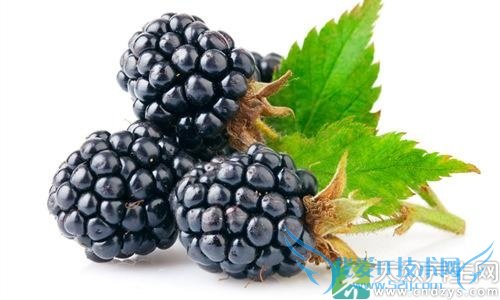 �����ܳ�ɣ����