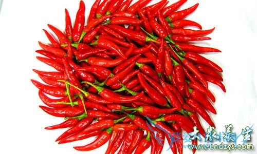 �и����Գ�������