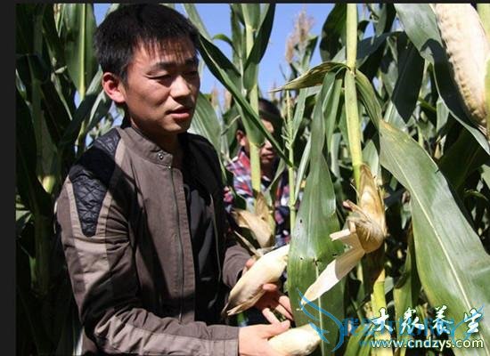 ���Ա���������ؾ�(3)