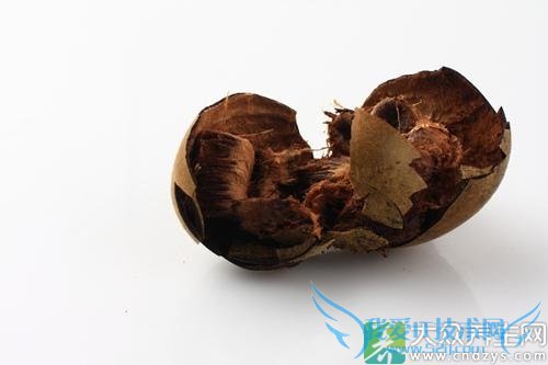 Ƥ�������ܳ��޺�����