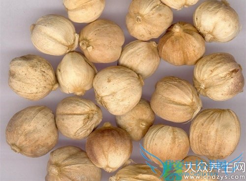 �������ܳ԰׶�ޢ��  