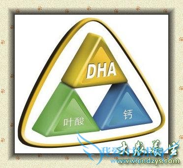 ʲô��DHA��DHAҲ�����Իƽ�(1)