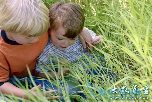 ����Ӿ�����׸�Ⱦ���۲� �������۲��ķ��滤��(4)