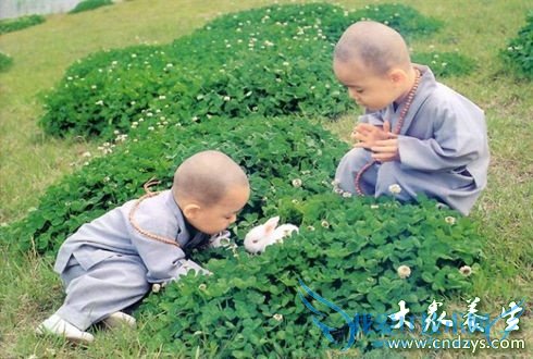 ����Ӿ�����׸�Ⱦ���۲� �������۲��ķ��滤��(3)