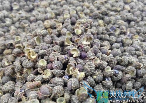 ��Ѫѹ�ܳ��齷��