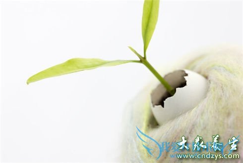 �����ϵ���ʮ�����ݻ���(1)