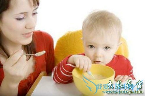 �����ĸ�ʳ���������