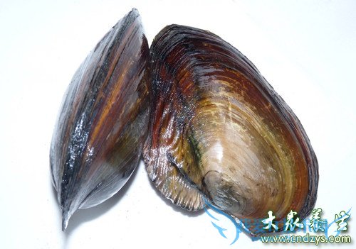 �����ܳԺӰ���  