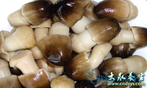 �и��ܳԲݹ���