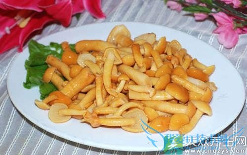 �и��ܳԻ��ӹ���