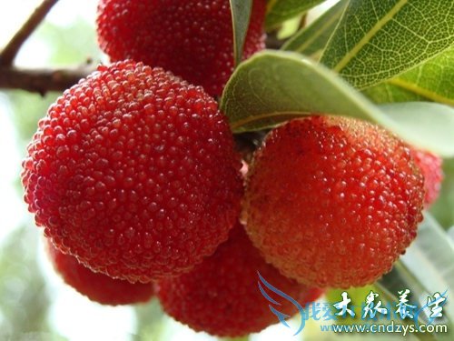 ������������8��2 ����ˮ����ô�ԣ� (7)