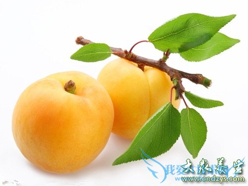 ������������8��2 ����ˮ����ô�ԣ� (11)