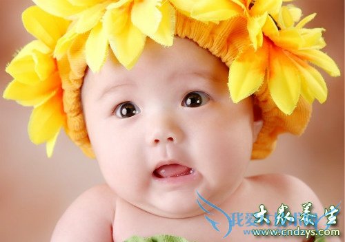 Ӥ����������������