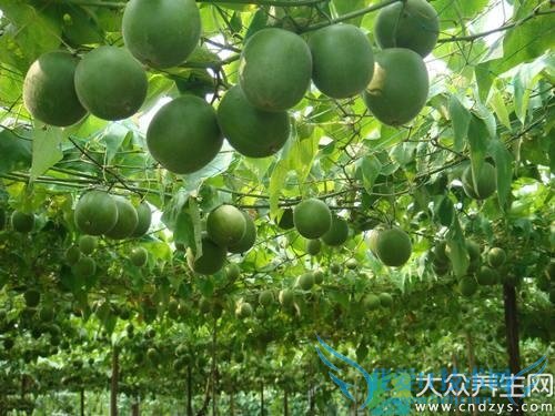 ��Ѫѹ�ܳ��޺�����