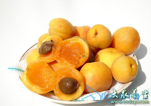 �и����Գ�����