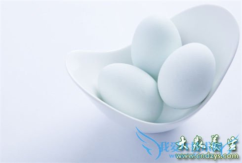 �쵰ȥ̥��?�и�Ӧ�óԶ쵰��(1)