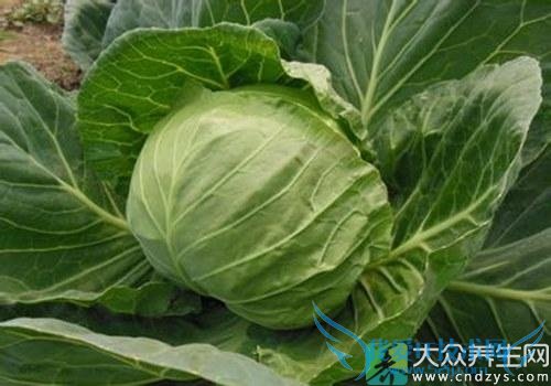 Ƥ�������ܳԾ��Ĳ���