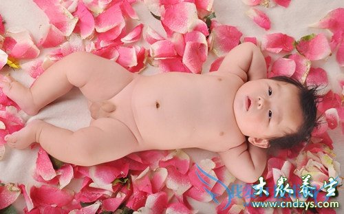 Ӥ��˯��������