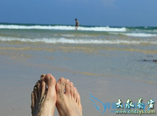 ���˿��ű�֪�ǲ�������(3)