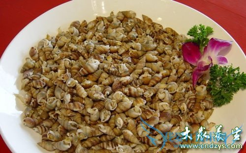 ��Ѫѹ�ܳԺ�������