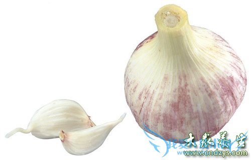 �������ܳ���ͷ��