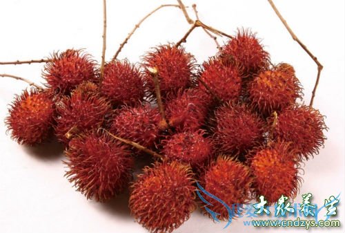 �и���ë���ܳ���