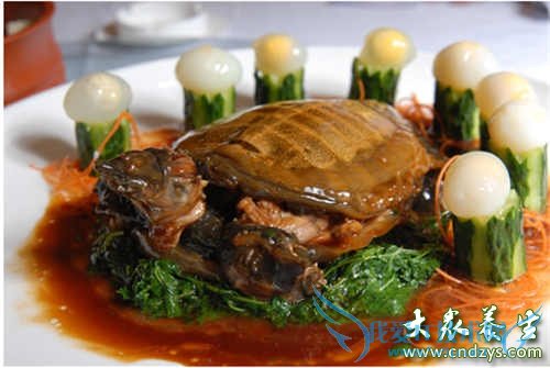 �����и������İ���ʳ��(1)