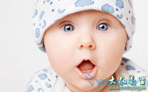 ��ν�������