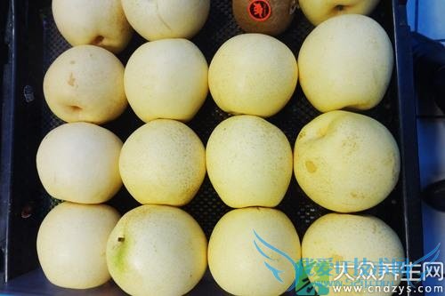 �����ܳ�ѩ����